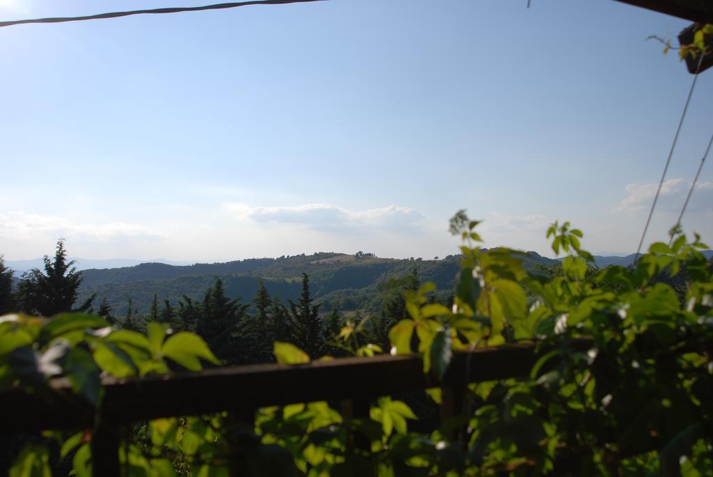 Il Tamantino Villa Gubbio Kamer foto